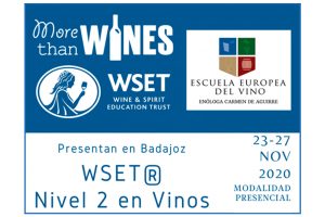 Lee más sobre el artículo Nuestra Escuela acogerá el Primer WSET Nivel 2 en vinos