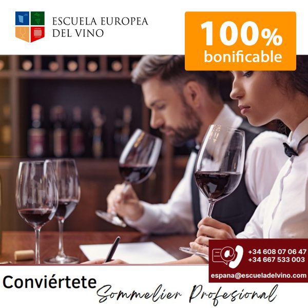 Escuela del vino europea formación 100% bonificable