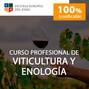 Curso profesional de Viticultura y Enología